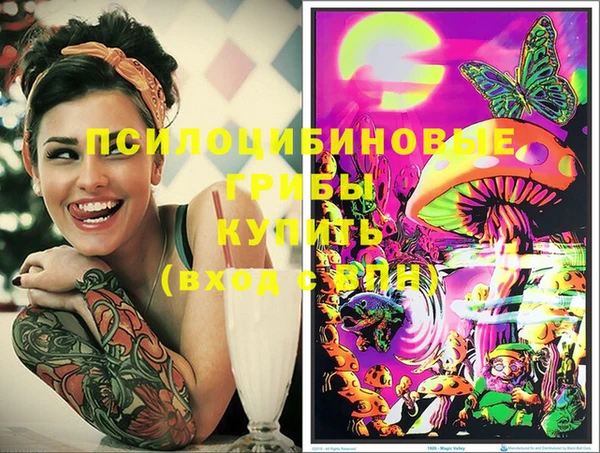 сатива Белокуриха