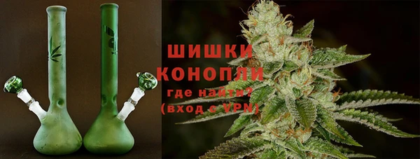 сатива Белокуриха