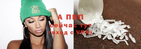 трава Беломорск