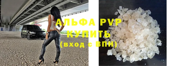 сатива Белокуриха