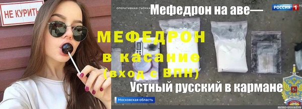 сатива Белокуриха
