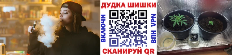 Каннабис план  Красный Холм 